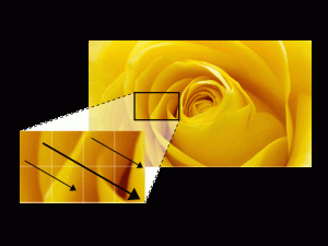 Continuous Alignment